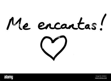 me encantas meaning|More.